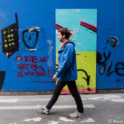 Novembre Comprenne qui pourra