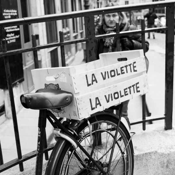 La violette I